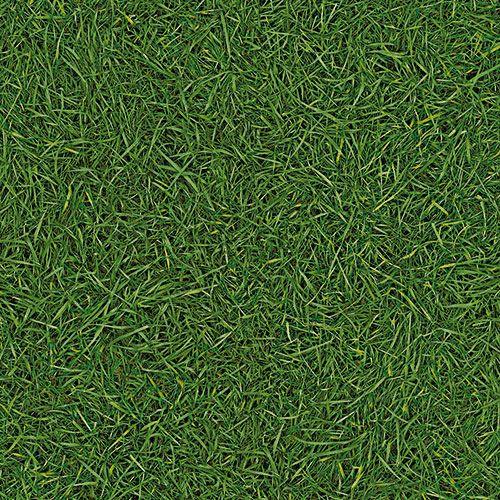 Линолеум бытовой "IVC" Bingo Grass 25 (3м) — купить в Томске